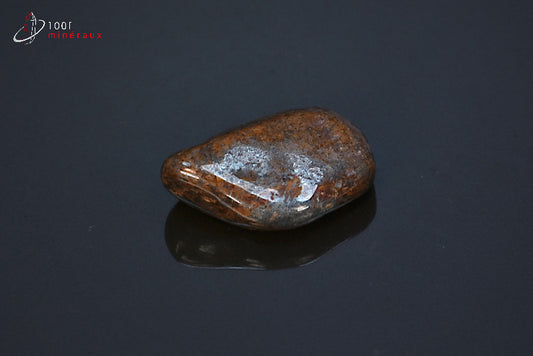 Minéral poli de bronzite marron des Etats-Unis