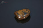 Bronzite polie - USA - pierres roulées 2,7 cm / 11g / BF38 - Vignette | 1001 minéraux