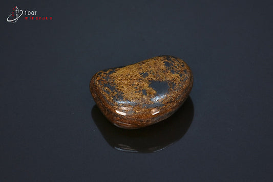 Minéral poli de bronzite marron des Etats-Unis