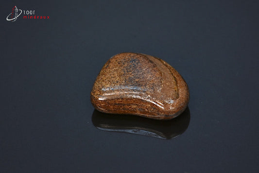 Minéral poli de bronzite marron des Etats-Unis