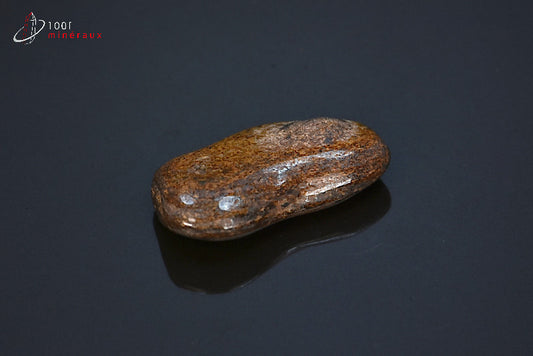 Minéral poli de bronzite marron des Etats-Unis