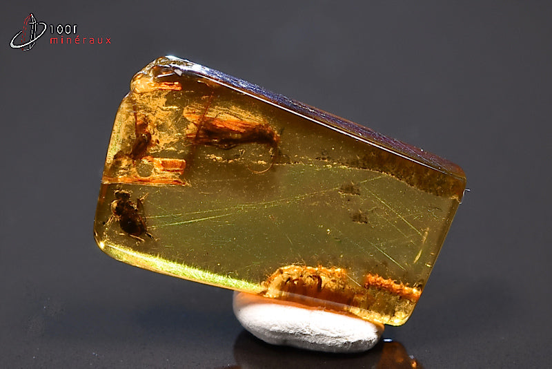 Fossile d'ambre jaune de Mer Baltique