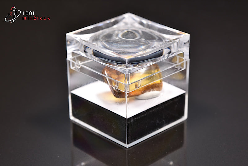 Fossile d'ambre jaune de Mer Baltique