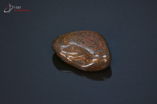 Minéral poli de bronzite marron des Etats-Unis