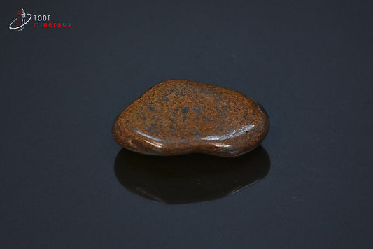 Minéral poli de bronzite marron des Etats-Unis