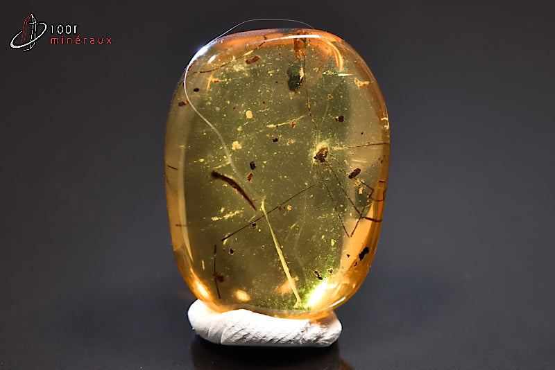 Fossile d'ambre jaune avec insectes de Birmanie
