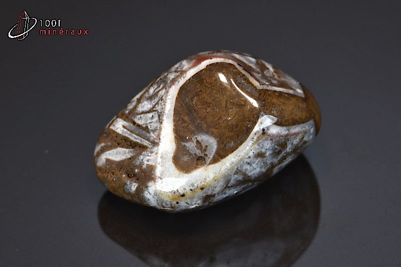Minéral poli de jaspe chocolat de Namibie