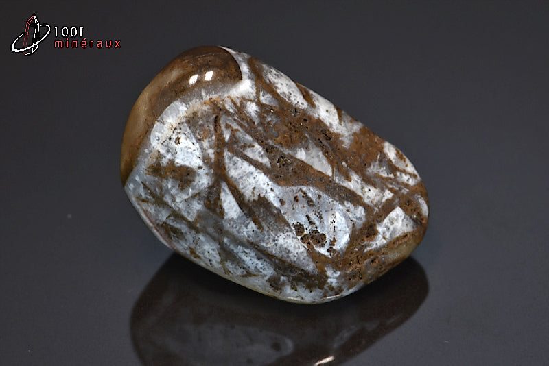 Minéral poli de jaspe chocolat de Namibie