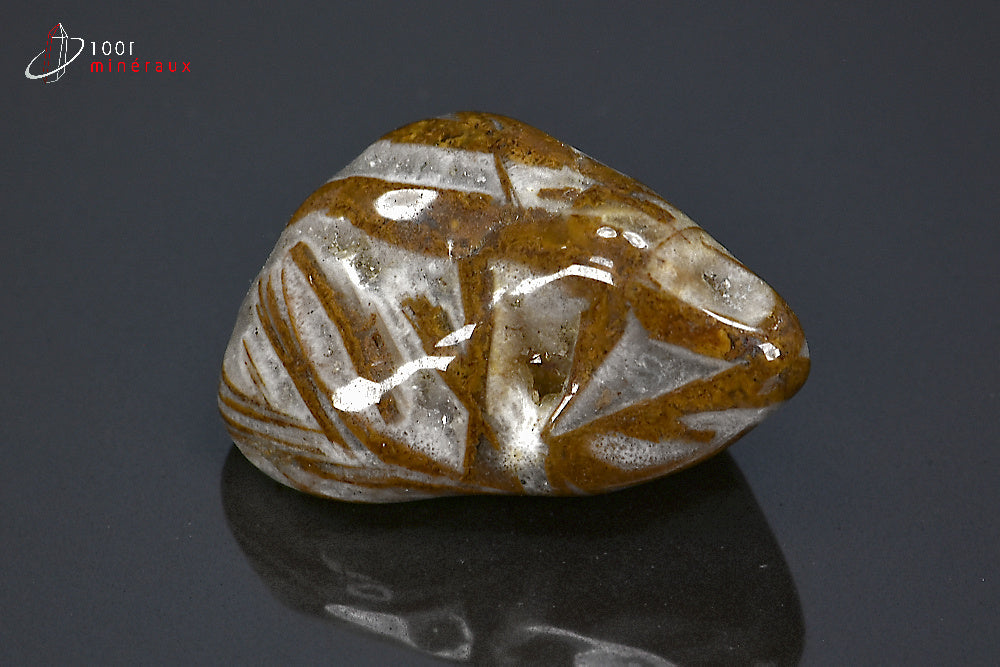 Minéral poli de jaspe chocolat de Namibie