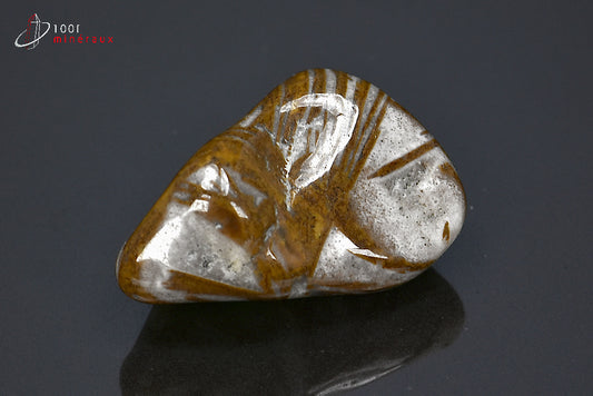 Minéral poli de jaspe chocolat de Namibie