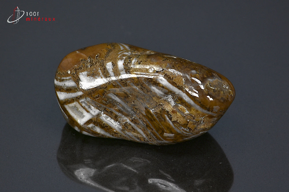 Minéral poli de jaspe chocolat de Namibie