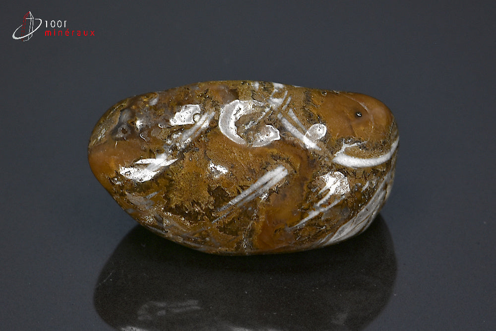 Minéral poli de jaspe chocolat de Namibie