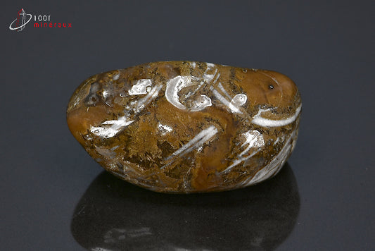 Minéral poli de jaspe chocolat de Namibie