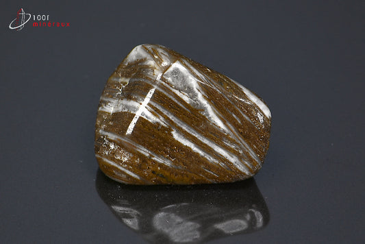 Minéral poli de jaspe chocolat de Namibie