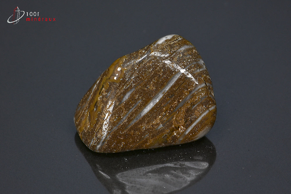 Minéral poli de jaspe chocolat de Namibie