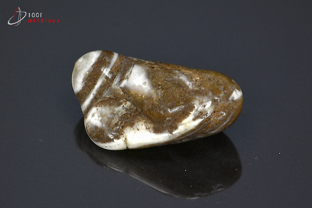 Minéral poli de jaspe chocolat de Namibie