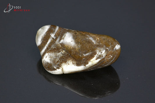 Minéral poli de jaspe chocolat de Namibie