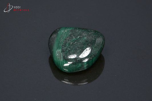 Minéral poli de malachite verte de République démocratique du Congo