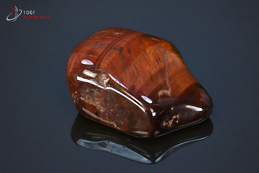 Minéral poli d'œil de taureau d'Afrique du sud