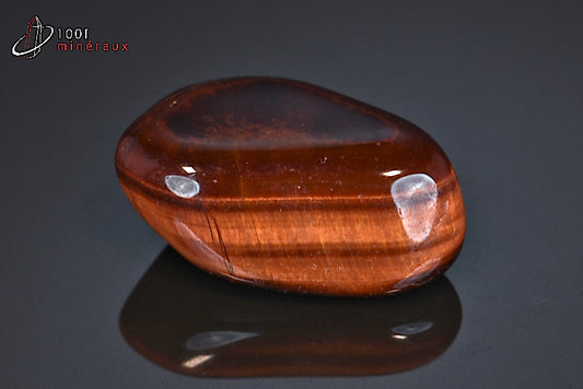 Minéral poli d'œil de taureau d'Afrique du sud