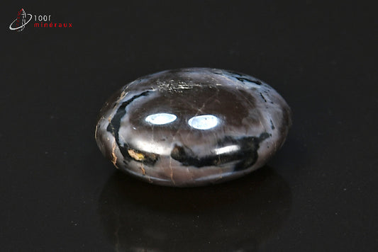 Minéral en galet poli de gabbro de Madagascar