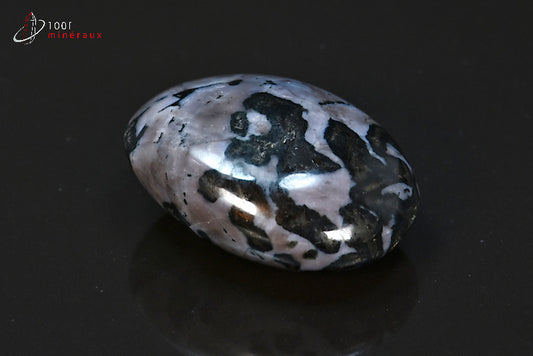 Minéral en galet poli de gabbro de Madagascar