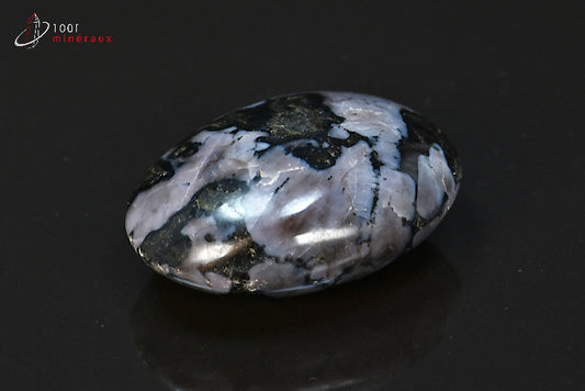 Minéral en galet poli de gabbro de Madagascar