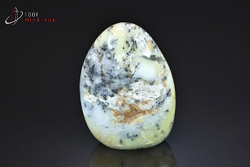 Minéral poli d'opale à dendrites de Madagascar