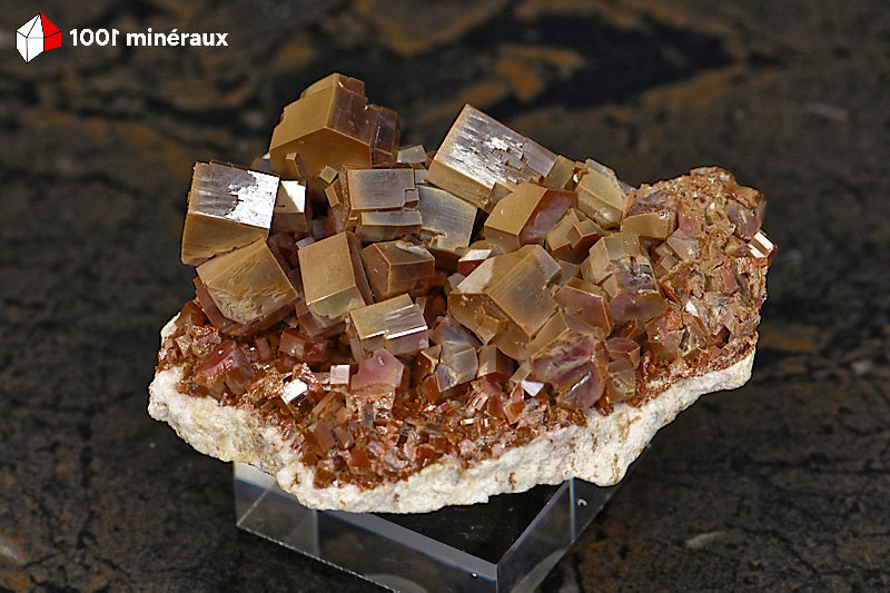 Vanadinite du Maroc - Cristaux épais jaune à brun foncé sur socle - 96 g - BG55