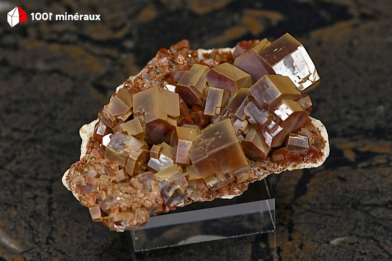 Vanadinite du Maroc - Vue de profil des cristaux épais - 5,6 x 4,4 x 2 cm - BG55