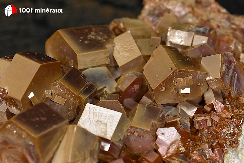 Vanadinite du Maroc - Détail des faces hexagonales et de l'éclat adamantin des cristaux jaune à brun foncé - BG55 