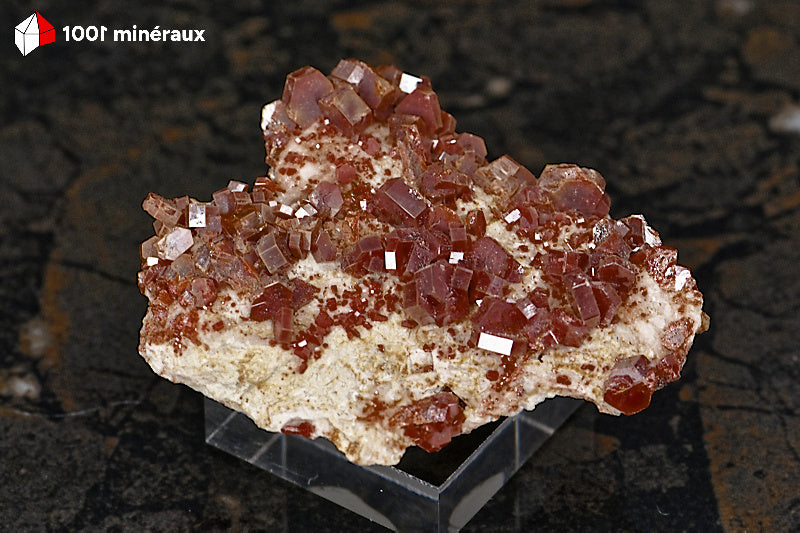 Vanadinite du Maroc - Cristaux rouge foncé sur base brute de Barytine blanche - 51 g - BG57