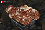 Vanadinite du Maroc (cristaux rouge foncé sur Barytine blanche) - 51 g / BG57 - Vignette | 1001 minéraux