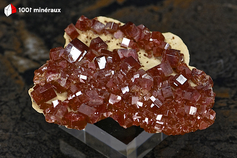 Vanadinite du Maroc - Nombreux cristaux rouge foncé sur base brute de Barytine blanche - 27 g - BG58