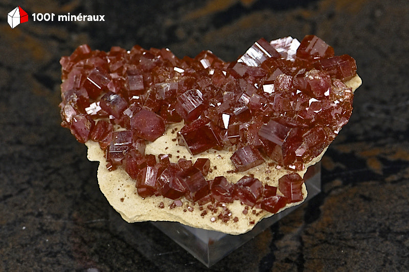 Vanadinite du Maroc - Vue d'ensemble sur gangue de Barytine brute - 4,8 x 3,7 x 1 cm - BG58