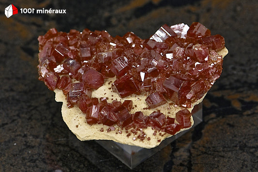 Vanadinite du Maroc - Vue d'ensemble sur gangue de Barytine brute - 4,8 x 3,7 x 1 cm - BG58