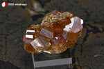Vanadinite du Maroc (cristaux épais rouge foncé et jaunes, sur socle) - 66 g / BG59 - Vignette | 1001 minéraux
