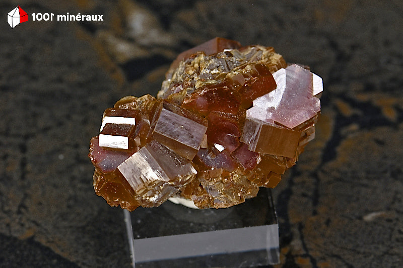 Vanadinite du Maroc - Cristaux épais rouge foncé et jaunes sur socle - 66 g - BG59