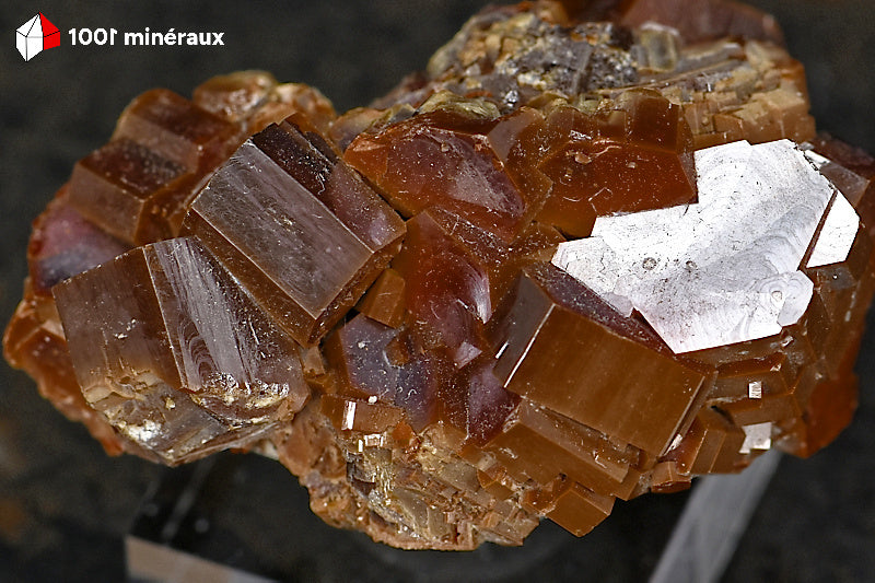 Vanadinite du Maroc - Détail des cristaux hexagonaux épais bicolores rouge et jaune - 66 g