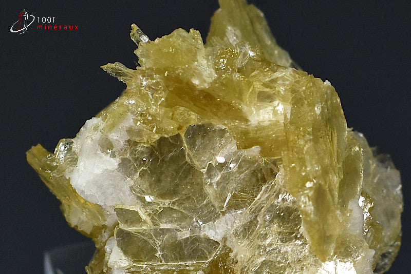 Minéral cristallisé de muscovite ou mica étoilé de Madagascar