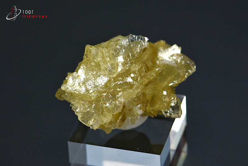 Minéral cristallisé de muscovite ou mica étoilé du Brésil