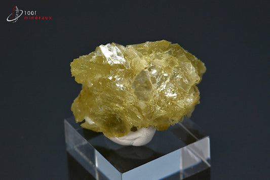 Minéral cristallisé de muscovite ou mica étoilé de Madagascar