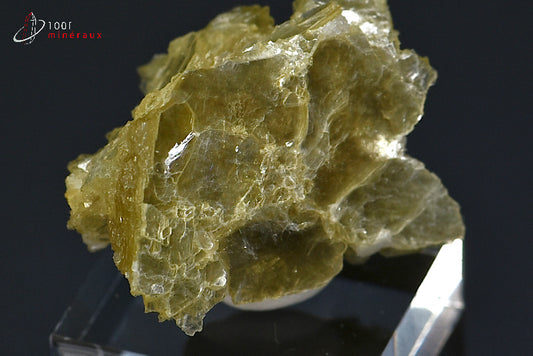 Minéral cristallisé de muscovite ou mica étoilé de Madagascar