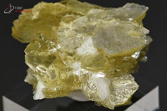 Minéral cristallisé de muscovite ou mica étoilé du Brésil