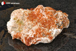 Vanadinite du Maroc (cristaux orange vif sur Barytine blanc-beige cristallisée) - 157 g / BH247 - Vignette | 1001 minéraux