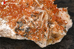 Vanadinite du Maroc (cristaux orange vif sur Barytine blanc-beige cristallisée) - 157 g / BH247 - Vignette | 1001 minéraux