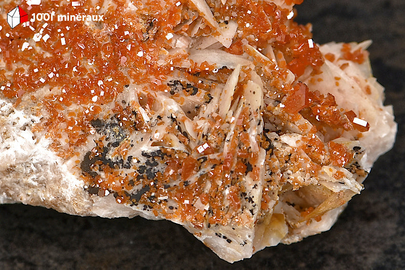 Vanadinite du Maroc - Détail des cristaux crêtés de Barytine blanc-beige - BH247