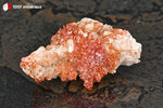 Vanadinite du Maroc (cristaux orange vif sur Barytine blanc-beige cristallisée) - 82 g / BH248 - Vignette | 1001 minéraux