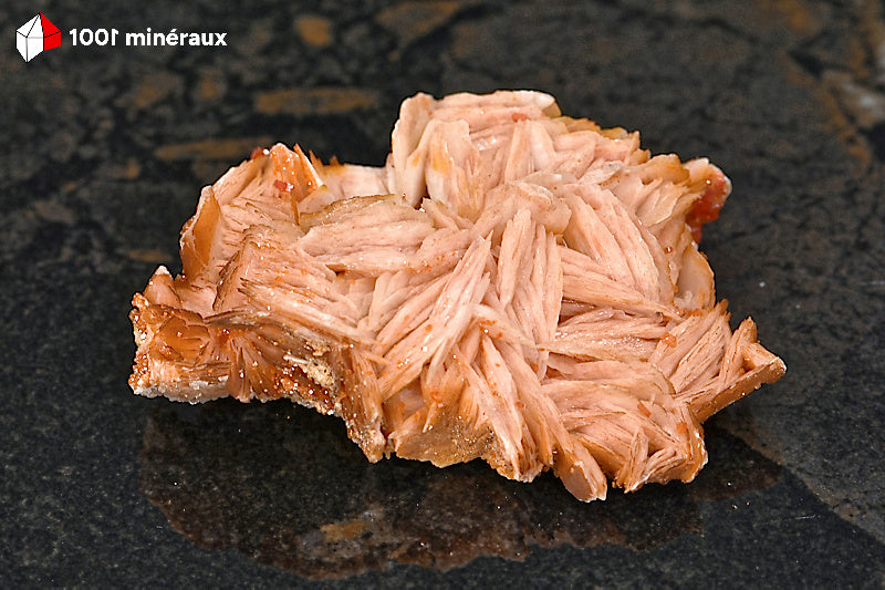 Vanadinite du Maroc - Vue d'ensemble de l'association Vanadinite orange et Barytine rosée - 6,2 x 4,8 x 2,2 cm - BH249