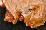 Vanadinite du Maroc (cristaux orange vif sur Barytine rosée cristallisée) - 72 g / BH249 - Vignette | 1001 minéraux